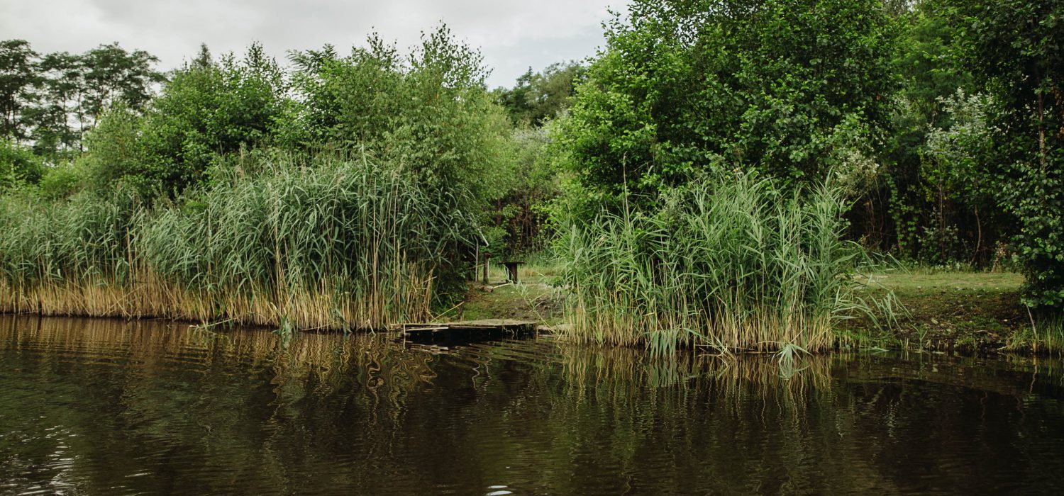stanowiska-29