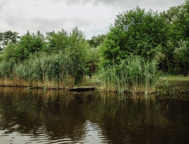 stanowiska-29