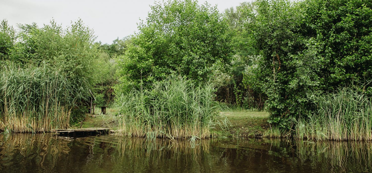 stanowiska-30