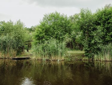 stanowiska-30