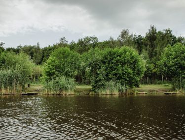 stanowiska-34