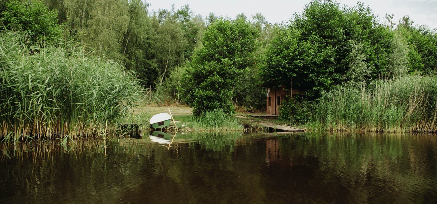 stanowiska-46
