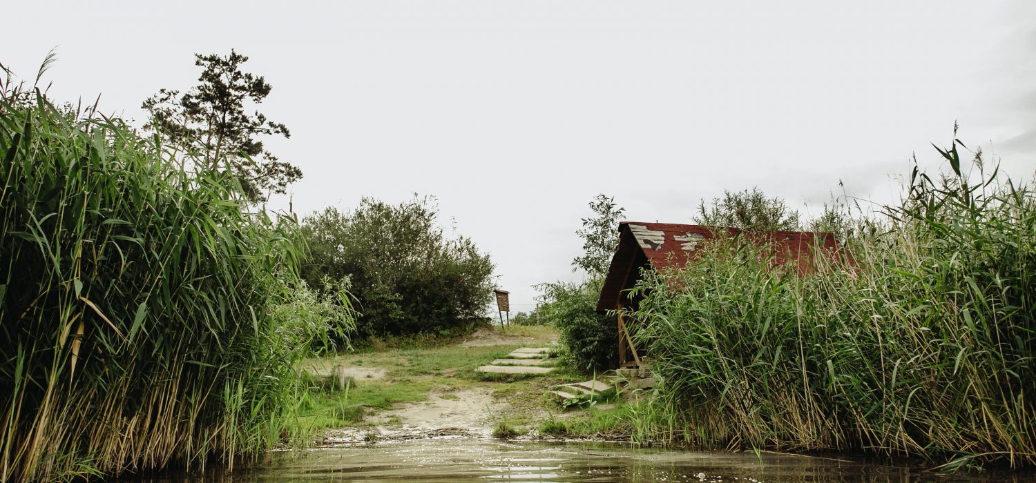 stanowiska-5
