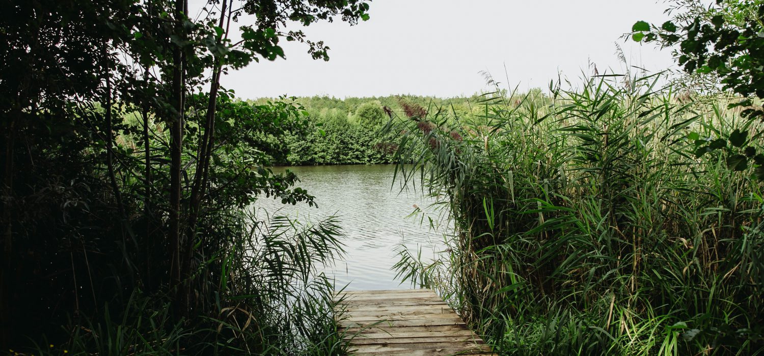 stanowisko boro 3