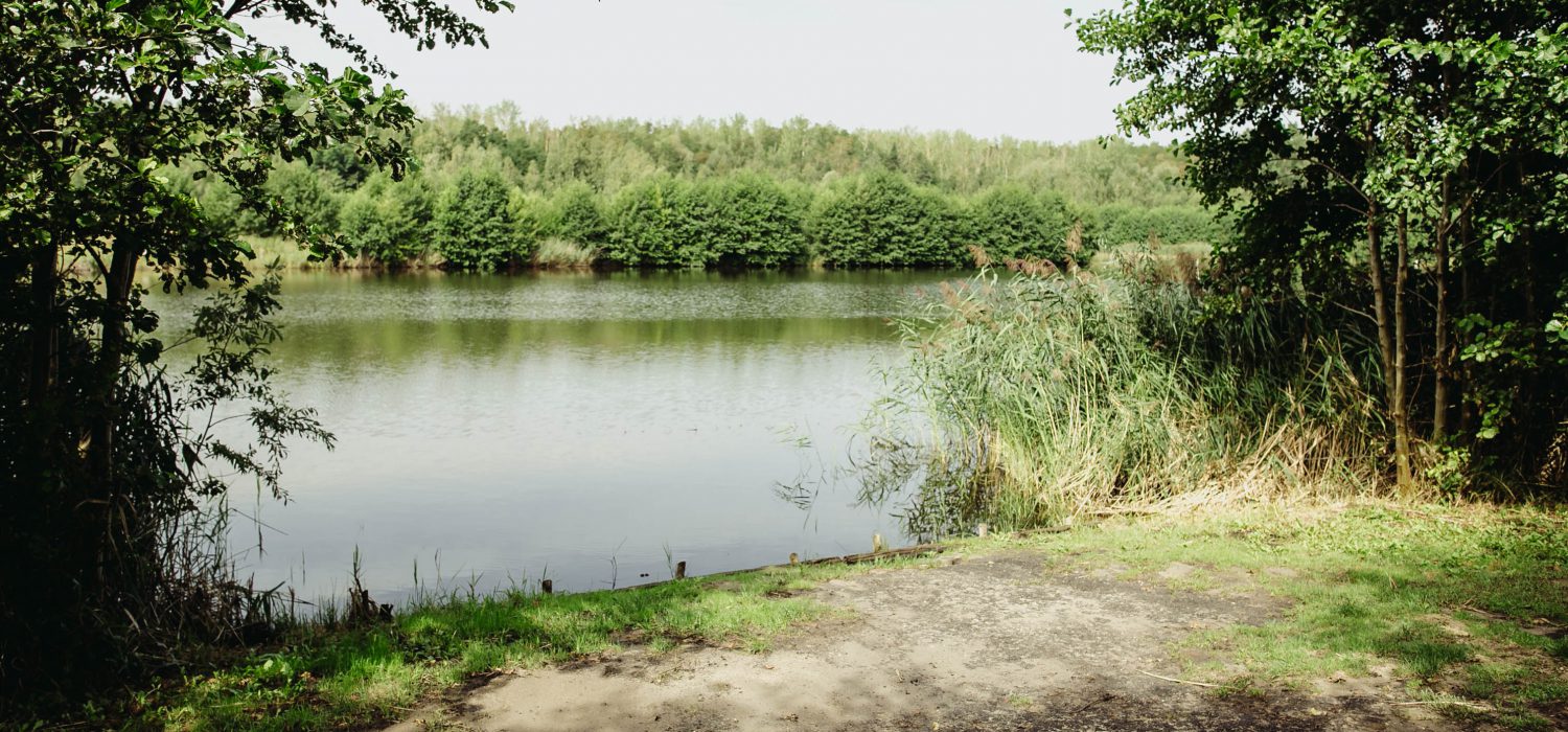 stanowisko boro 4