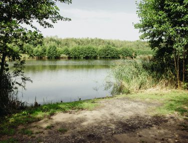 stanowisko boro 4