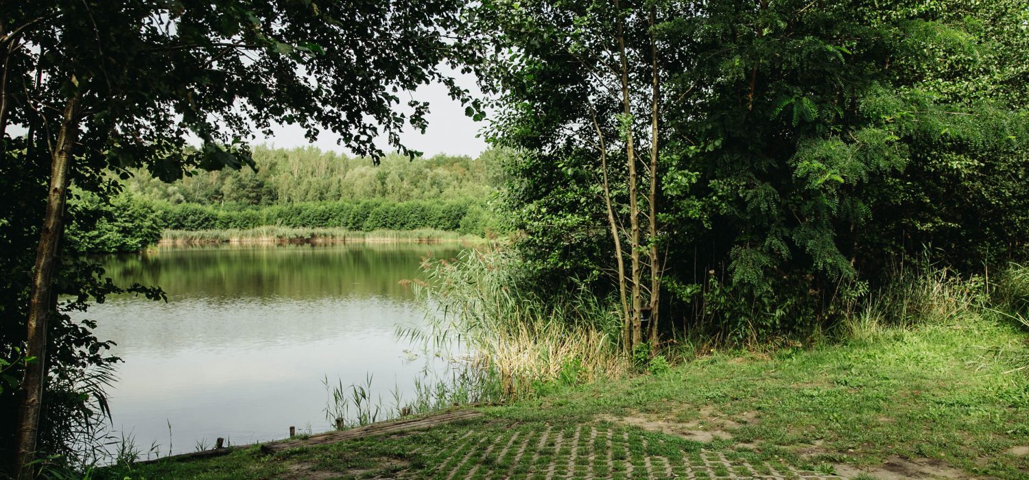 stanowisko boro 6