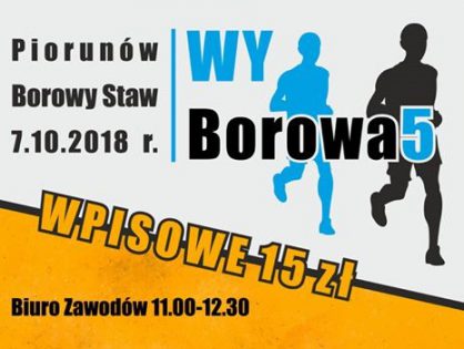 WyBorowa5 - zawody sportowe