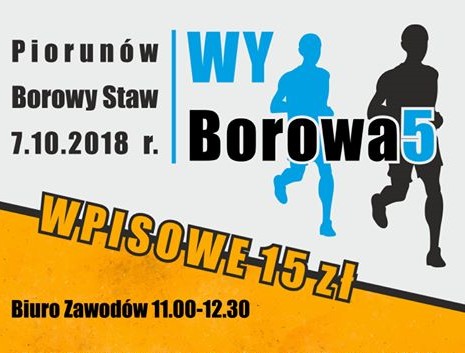 WyBorowa5 - zawody sportowe